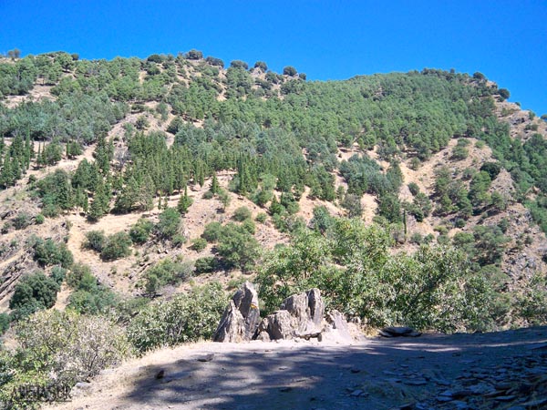 Vereda de la Estrella - Cuesta de los Presidiarios