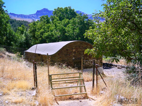 Vereda de la Estrella - Refugio de la Cucaracha