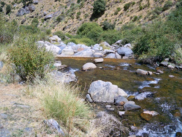 Vereda de la Estrella - Rio Real